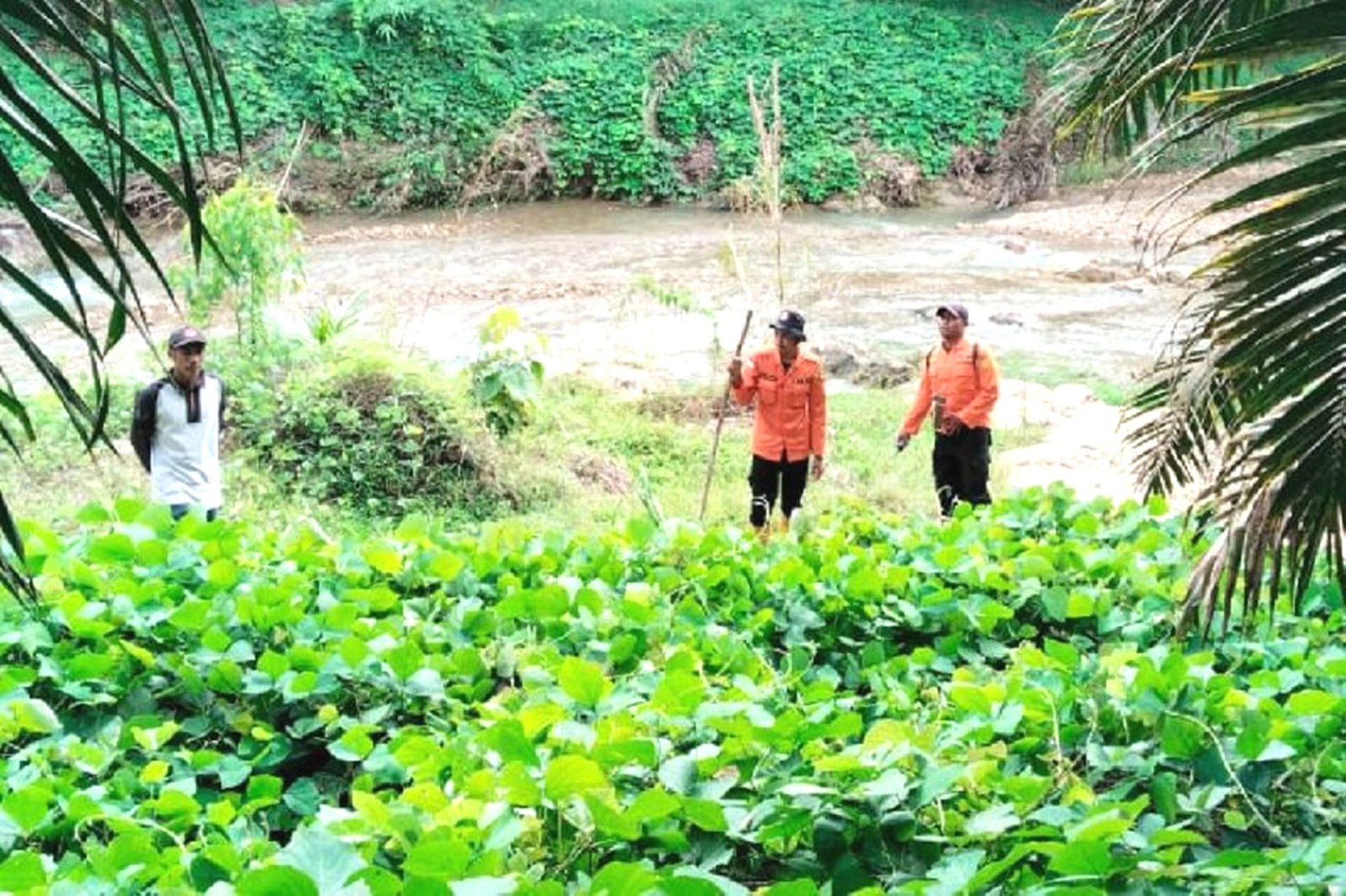 Tim SAR Temukan Warga yang Hilang di Hutan Aek Beringin dalam Kondisi Selamat