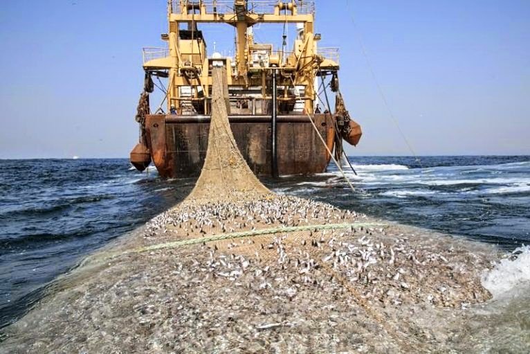 Pukat Trawl Jadi Ancaman, Ekonomi Nelayan di Tapteng Merosot