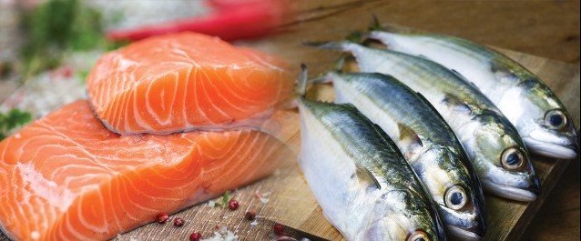 Ternyata, Ikan Kembung Bisa Menyaingi Salmon! Cek Faktanya Berikut