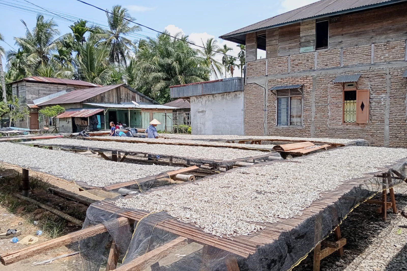 Nelayan Bagan Pancang di Tapteng Semringah Hasil Tangkapan Kembali Normal