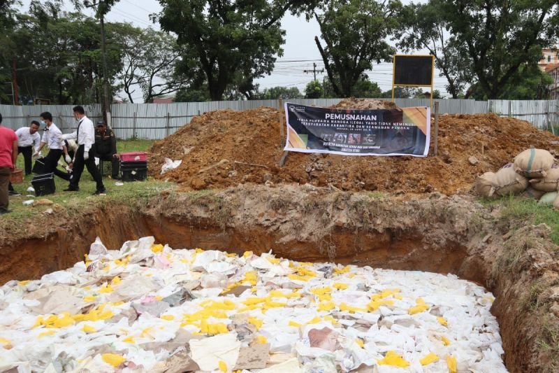 14,6 Ton Mangga Ilegal Asal Thailand Dimusnahkan di Medan, Diduga Bawa Larva Lalat Buah