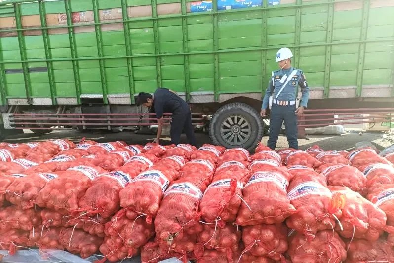 TNI AL Gagalkan Penyelundupan 11,1 Ton Bawang Bombay Ilegal di Ketapang