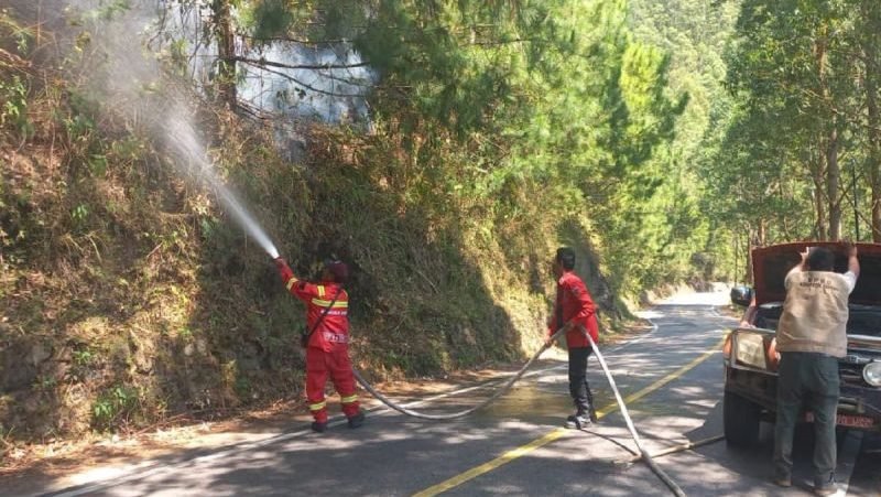 54 Titik Panas Terdeteksi di Sumut, BMKG Ingatkan Potensi Karhutla dan Cuaca Ekstrem