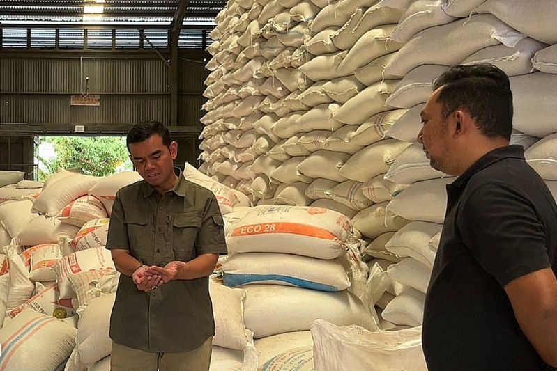Bulog Sumut Tembus 58% Penyaluran Jagung SPHP ke Peternak Ayam Telur, Harga Pakan Stabil di Rp 5.000 per Kg