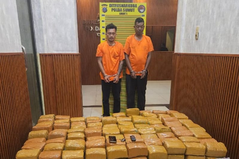 Polda Sumut Buru Pengendali Kurir Pembawa 255 Kg Ganja dari Aceh, Dua Pelaku Sudah Ditangkap