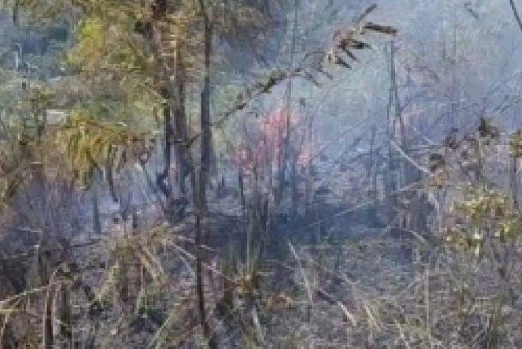 Kebakaran Hutan Lindung Gunung Setan Hanguskan Satu Hektare Lahan di Padangsidimpuan, BPBD Pantau Titik Api