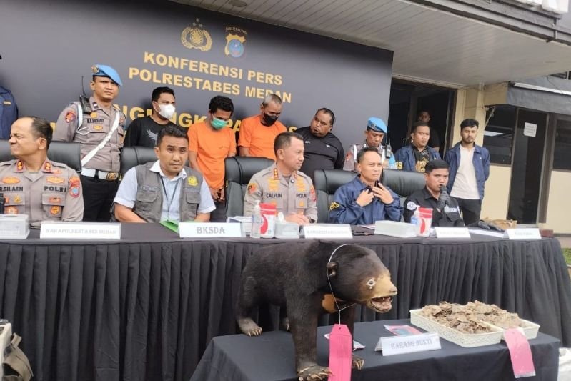 Polrestabes Medan Ungkap Perdagangan Offset Beruang Madu, Penjual Belum Tertangkap