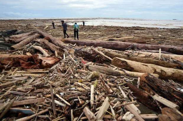 Banjir Sumatera: Bareskrim Usut Kayu Gelondongan, Kemenhut Telusuri Illegal Logging