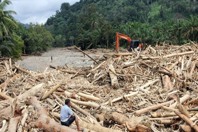 Empat Kali Terjatuh, Namun Tak Menyerah: Perjalanan Berbahaya Aswin Evakuasi Keluarganya Lewat Jalan Berlumpur