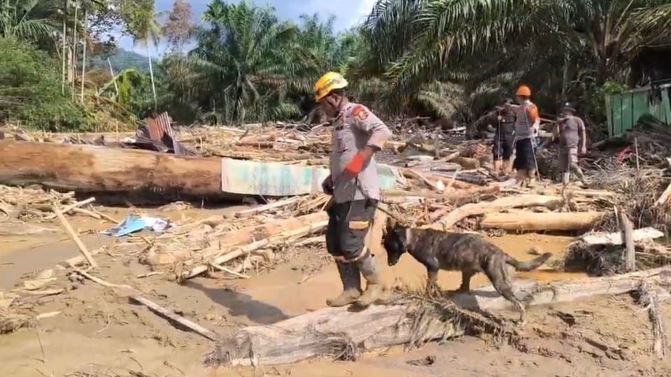 Update Banjir Sumut: 311 Meninggal Dunia, 127 Hilang, Tim K-9 Diterjunkan