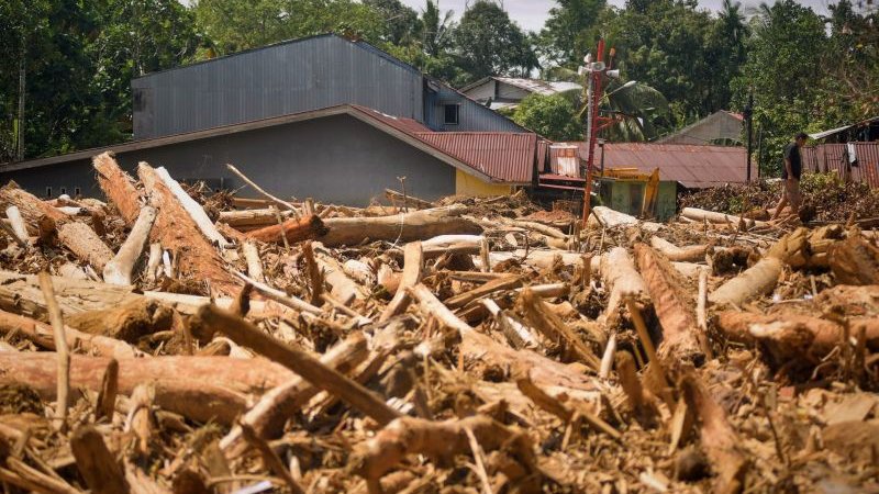Pemerintah Audit Izin 24 Perusahaan Hutan di Sumatera Usai Banjir Bandang dan Longsor