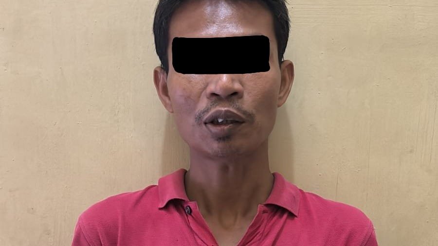 Doli Jaharrudin Aniaya Ibu dan Anak di Asahan, Pelaku Ditangkap Polisi