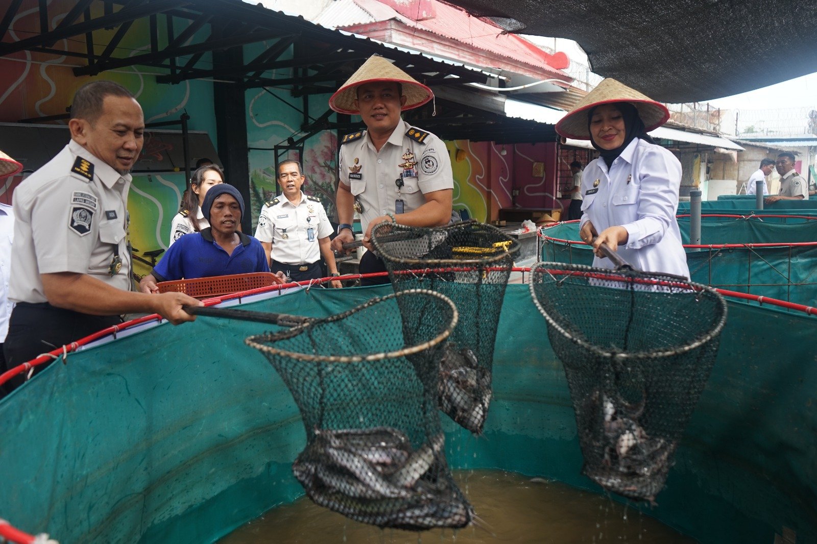 Lapas Kelas I Medan Panen 500 Kg Lele dan 300 Kg Sayuran Hidroponik, Program Pembinaan WBP Berjalan Produktif
