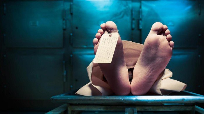 Terbongkar Dua Eksekutor Pembunuhan WN Singapura di Cilacap Ditangkap! Sang Dalang Masih Buron