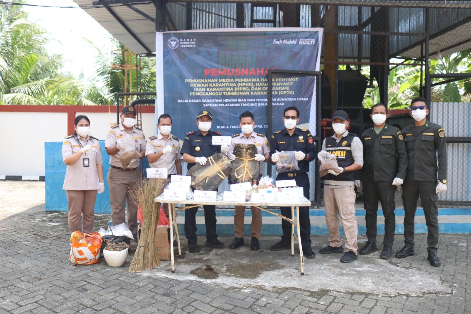 Jaga Keamanan Hayati, Ribuan Kulit Biawak Dimusnahkan Karantina Sumut