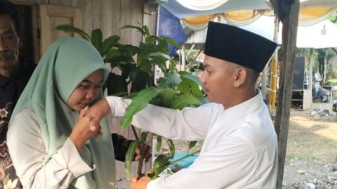 Viral! Pengantin di Rembang Beri Mahar Bibit Pohon Mangga, Sarat Makna Kehidupan