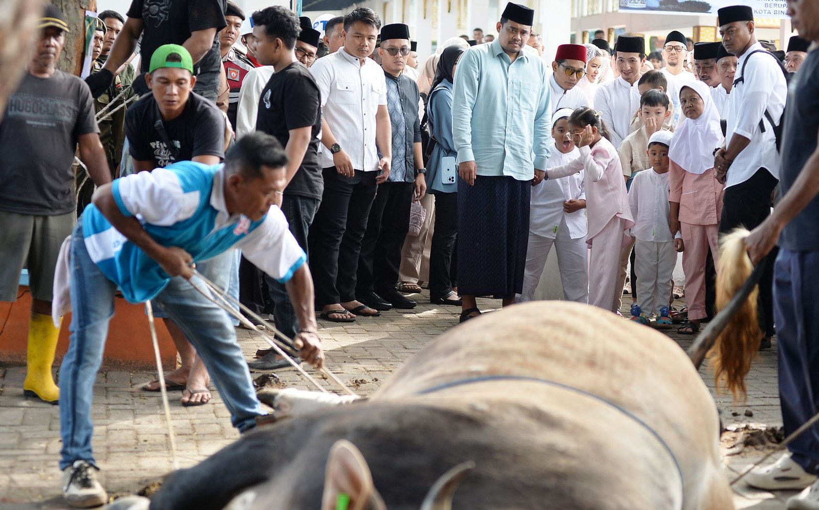 Gubsu Salat Iduladha di Binjai, Pemprovsu Salurkan 167 Hewan Kurban