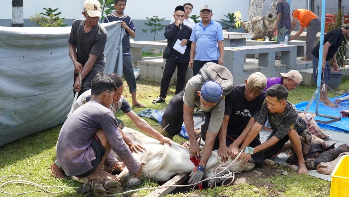 Rutan Kelas I Medan Sembelih 11 Hewan Kurban pada Idul Adha 1447
