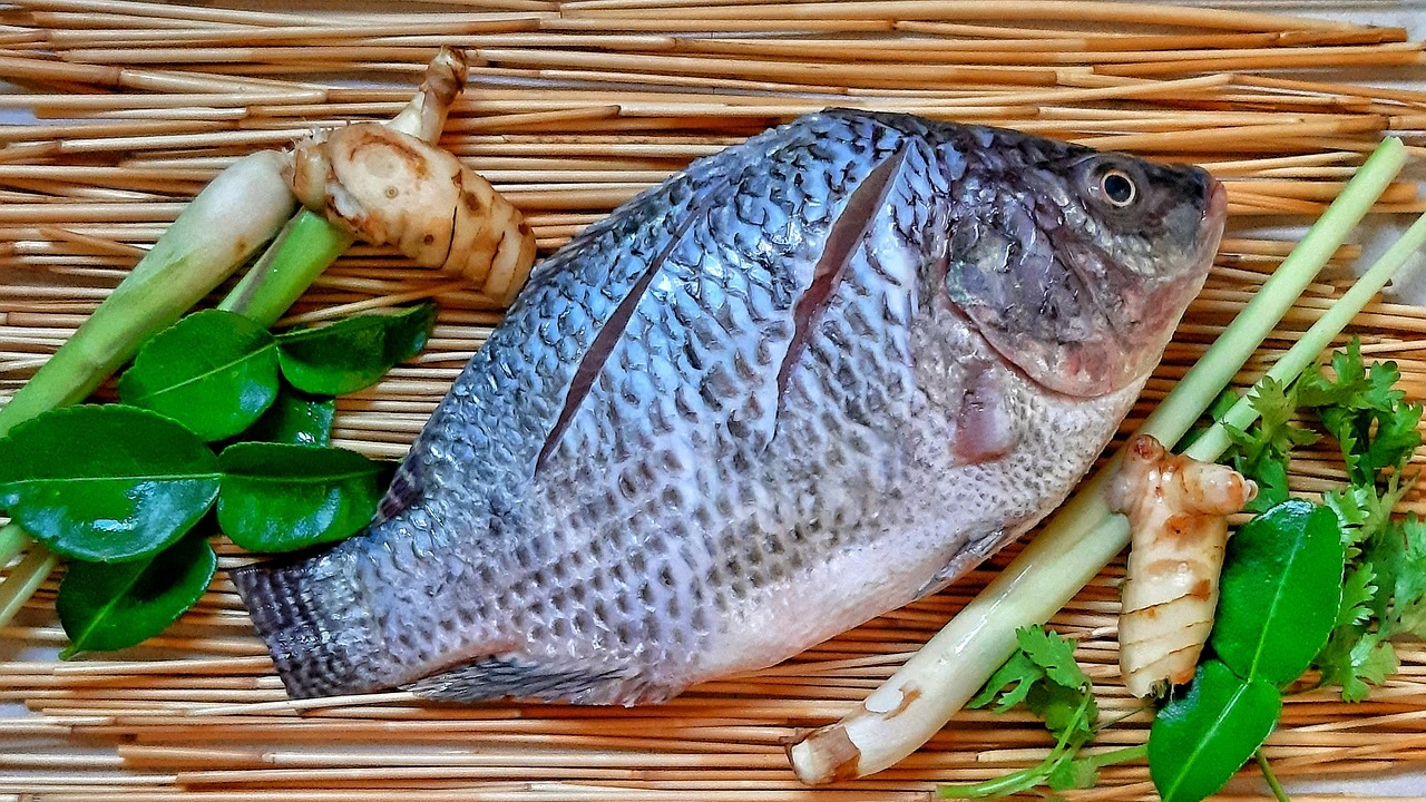 Ikan Penghuni Danau Toba Ini Kini Jadi Primadona Ekspor, Permintaan AS dan Eropa Melonjak