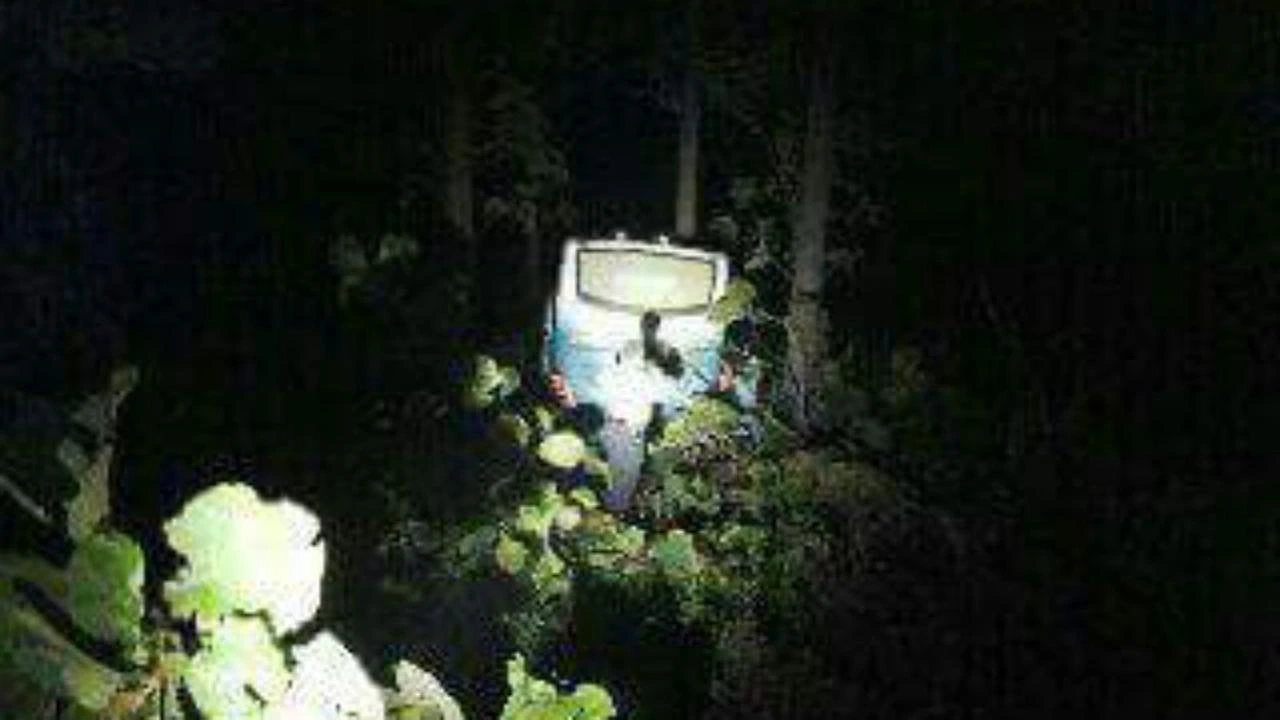 Misteri Bus Nyasar di Hutan Blora yang Tak Masuk Logika: Terowongan Gaib atau Sopir Salah Jalur?