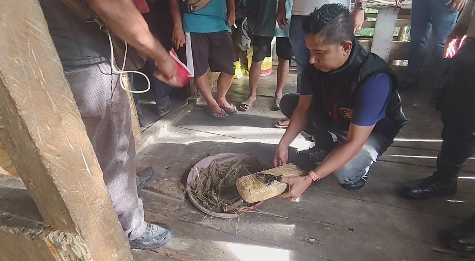 Polsek Bahorok Gagalkan Peredaran 2 Kg Ganja di Bukit Lawang, Seorang Pria Diamankan
