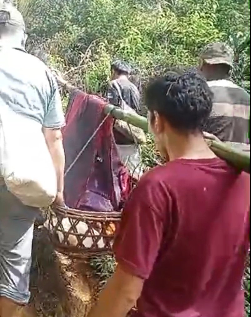 Ibu Hamil di Tapanuli Selatan Ditandu Pakai Bambu ke RS Selama 6 Jam Sejauh 30 Km, Ibu Selamat, Bayi Meninggal Dunia