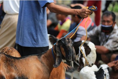 Khutbah Idul Adha 2026: Gotong Royong dalam Pengelolaan Kurban