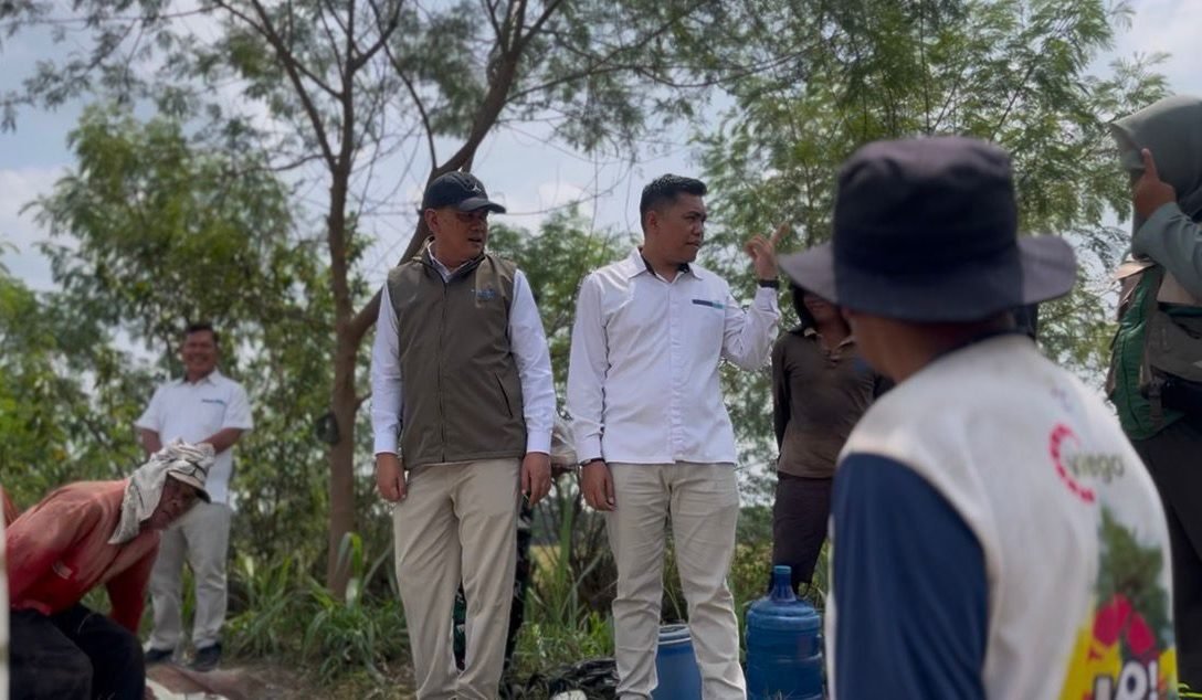Bulog Tembus 3 Juta Ton Serapan Gabah-Beras Petani, Rekor Baru Penguatan Cadangan Pangan Nasional  