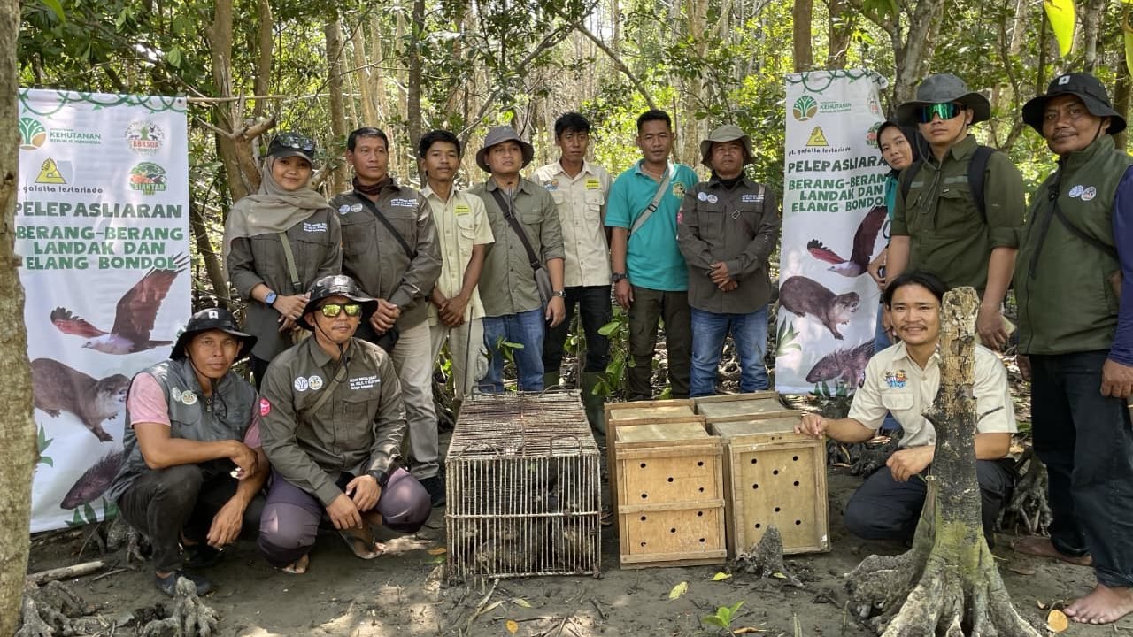 BBKSDA Sumut dan PT Galatta Lestarindo Perkuat Upaya Konservasi Breeding dan Restocking Satwa Liar