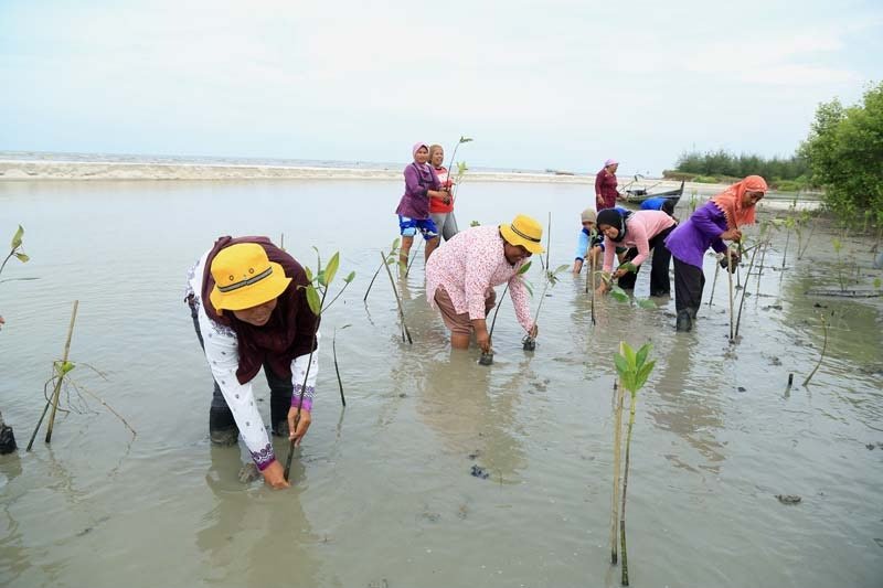Mangrove Kampoeng Nipah Wisata Edukasi Berbasis Lingkungan