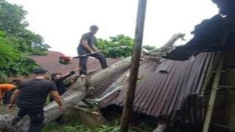 Cuaca Ekstrem Terjang Binjai, Lima Rumah Rusak Diterjang Angin Kencang dan Hujan Deras