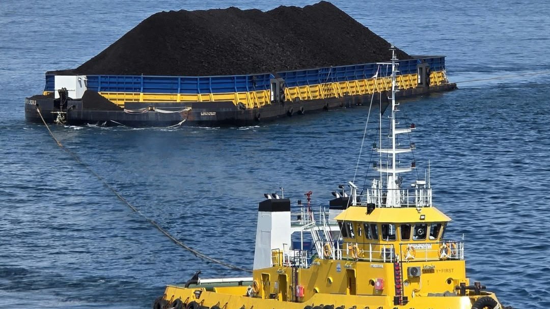 PELNI Angkut 335 Ribu Ton Batubara pada Semester I 2026, Dukung Pasokan Energi Nasional