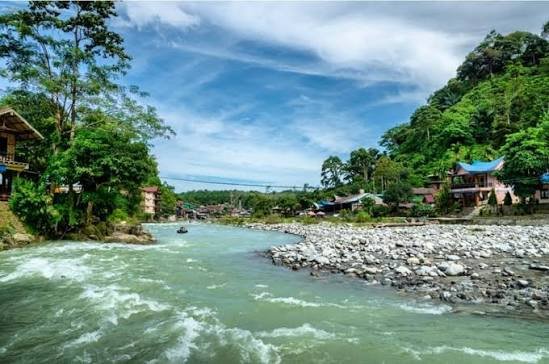 Jelajahi Pesona Bukit Lawang Sajikan Permata Wisata Alam di Sumatera Utara
