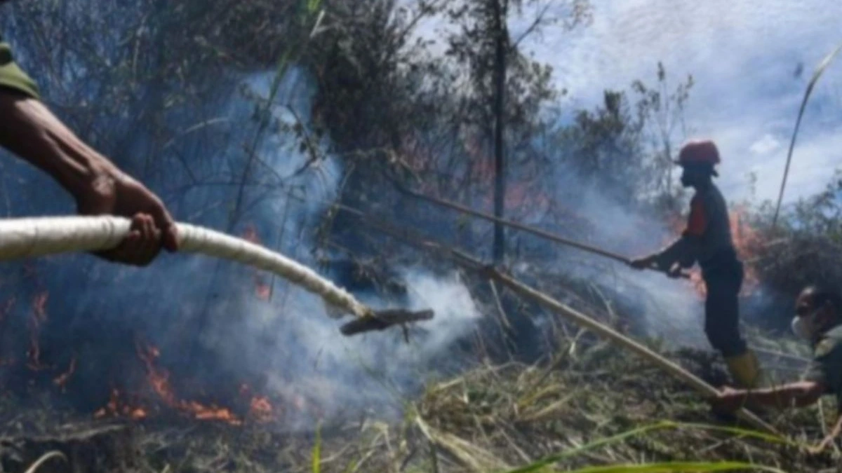 64 Titik Panas Terdeteksi di Sumut, Karo dan Labuhanbatu Jadi Wilayah Terbanyak