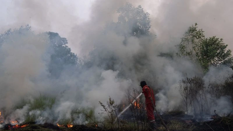 72 Orang Jadi Tersangka Karhutla, Bareskrim Mulai Telusuri Dalang dan Aliran Uang