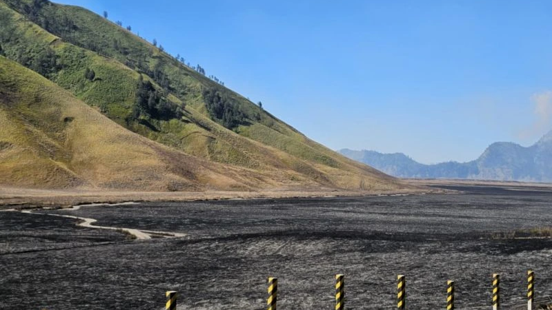 Kebakaran Gunung Bromo Diduga Dipicu Aktivitas Manusia, Menhut Serahkan Penyelidikan ke Aparat Penegak Hukum