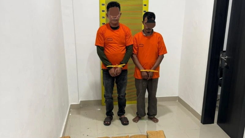 Polda Sumut Ungkap 169,6 Kg Ganja di Deli Serdang, Tiga Orang Ditangkap