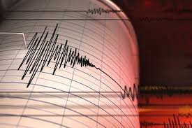 Gempa Flores: Apa Itu Flores Back Arc Thrust Pemicu Gempa M7 yang Guncang NTT?