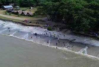 Rute dan Harga Tiket Terbaru Jalan-jalan ke Pantai Dewi Indah Dekat dari Bandara Internasional Kualanamu