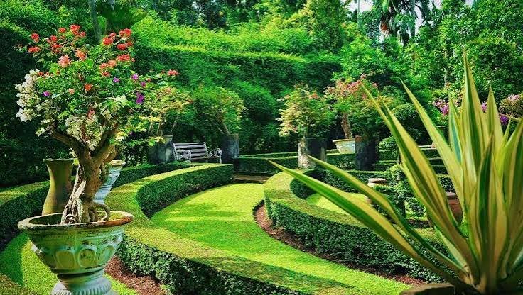 Rekomendasi 7 Taman di Medan yang Asyik sebagai Tempat Kongko Murah Meriah
