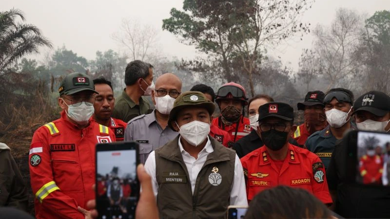 5 Perusahaan di Kalbar Kena Sanksi Karhutla, 2.568 Hektare Terbakar