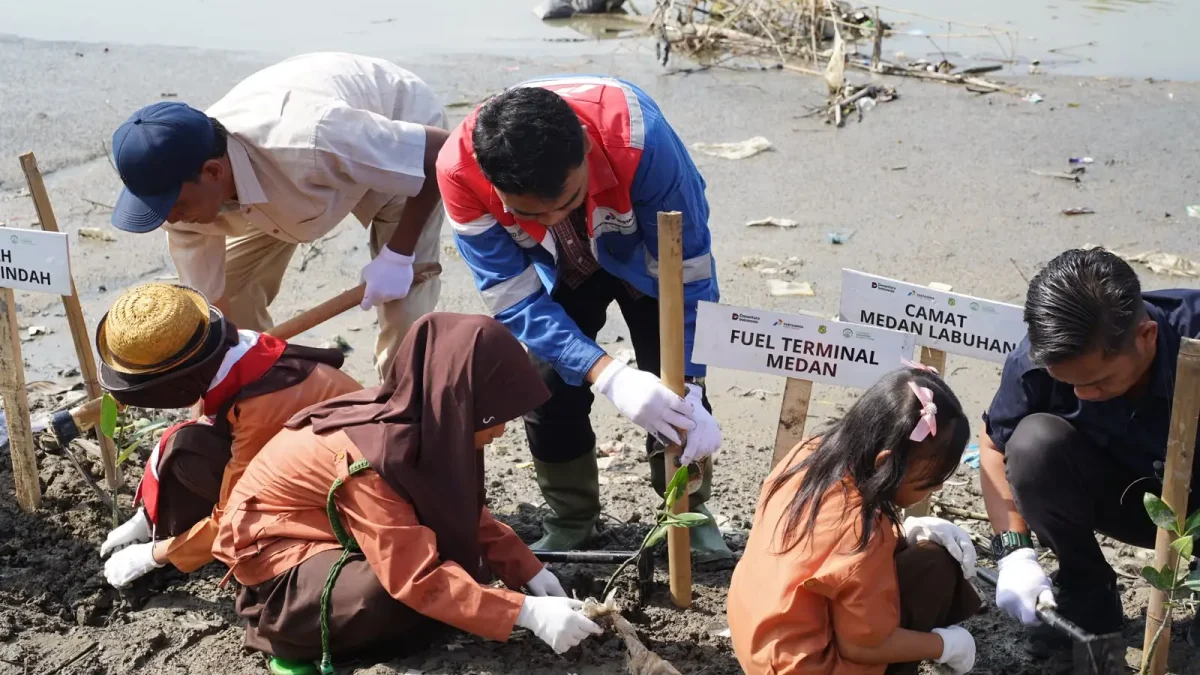 Perkuat Tanggul Rob Medan Labuhan, Pertamina Tanam 200 Mangrove di Pesisir Nelayan Indah