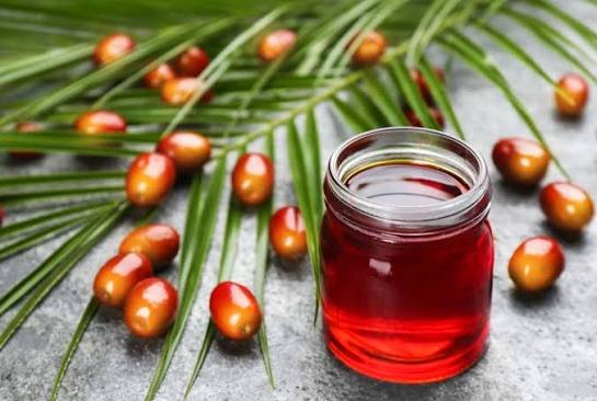 Analis Pasar: Harga CPO Diproyekasi Bisa Mencapai Sekitar RM 5.200 per Ton