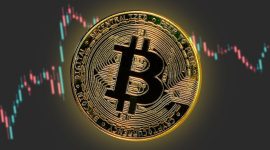 5 orang pemilik Bitcoin terbanyak di dunia