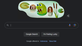 Google Doodle tahun kabisat atau Leaps Day 2024