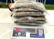 Kurir Ganja 151 Kg Asal Aceh Dituntut Pidana Mati