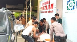 Harimau Sumatera menyerang seorang petani cabai di Kabupaten Langkat, Sumatera Utara, Senin (11/3) sore. Foto: Humas Polres Langkat