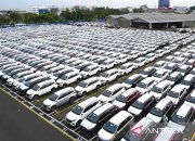 Daihatsu Jual 32 Ribu Mobil Hingga Februari 2024, Bersaing ketat dengan Toyota