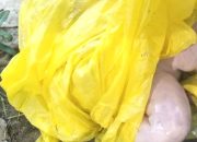 Orok Bayi Ditemukan di Parit Medan Helvetia, Warga Geger