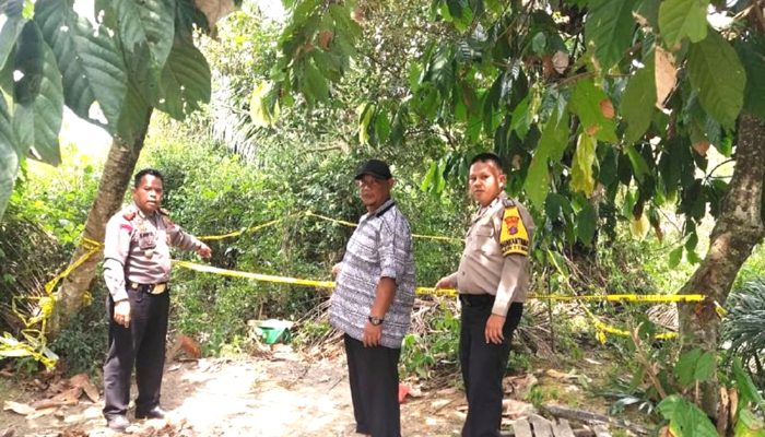 Jibom Brimob Musnahkan Dua Granat Peninggalan Perang Dunia